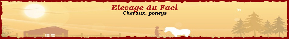 Elevage du Faci